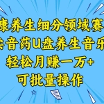 (8503期)健康养生细分领域赛道,卖音药U盘养生音乐,轻松月赚一万+,可批量操作