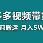 (8491期)【蓝海项目】拼多多视频带货 纯搬运一个月搞了5w佣金,小白也能操作 送工具