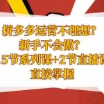 (8479期)拼多多运营不理想?新手不会做?15节系列课+2节直播课,直接掌握