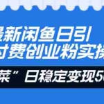 (8469期)24年最新闲鱼日引200+付费创业粉,割韭菜每天5000+收益实操教程!