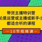(8464期)带货主播特训营:无论是运营或主播或新手小白,都适合听的课程