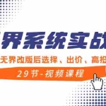 (8446期)无界系统实战课,全体系·落地无界改版后选择、出价、高投产做付费引流