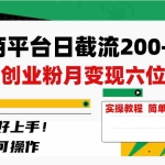 (8397期)电商平台日截流200+付费创业粉,月变现六位数简单好上手!
