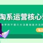(8392期)淘系-运营核心课,你学的不是只方法是创造方法的根源(190节课)