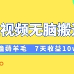 （8363期）12月最新无脑搬运薅羊毛，7天轻松收益1W，vivo短视频创作收益来袭