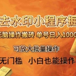 (8339期)去水印小程序+拼多多 无脑搬砖 ,单号日入1000+ 保姆级教程 可放大批量操作