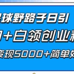 （8315期）知识星球野路子日引300+白领创业粉，日稳定变现5000+简单好上手！