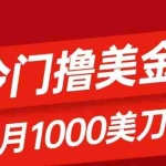 (8299期)冷门撸美金项目:只需无脑发帖子,每月1000刀,小白轻松掌握