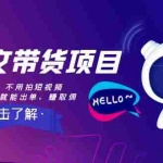 (8213期)AI图文带货项目:不用出镜,不用拍短视频,不用做直播  就能出单,赚取佣金