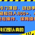 (8205期)超级冷门项目,动动手指,单号轻松日入800+,小白也可轻松操作,保姆级教程