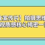 (8199期)【企业 宣传片】拍摄思维提升专业影视质感核心揭密一课搞定