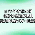 (8178期)百宝-抖店第24期:低价引流破解限制,达人玩法快速改1万+销量玩法等