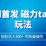 (8166期)全网首发磁力toptop玩法 轻松日入300+