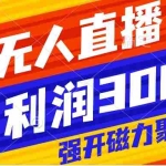 (8158期)快手挂机,美女无人直播,强开磁力聚星小铃铛,日入3000+