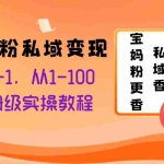 (8154期)宝妈粉私域变现从0-1,从1-100,保姆级实操教程,长久稳定的变现之法