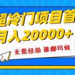(8148期)超级冷门项目,粤语动画赛道,十分钟一个原创视频,简单易上手 实测月入1w+