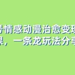 (8150期)视频号情感动漫治愈变现项目分享课,一条龙玩法分享给你(教程+素材)