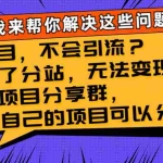 (8147期)有项目,不会引流?加盟了分站,无法变现?组建项目分享群,没有自己的…