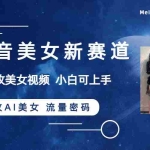 (8141期)抖音美女新赛道-漫改AI美女流量密码,5分钟制作视频,新手一周涨万粉