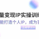 (8134期)流量变现-IP实操训练营:新手也能打造个人IP,成为百万 博主(46节课)