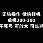 (8119期)无脑操作微信挂机单机200-300一天,不死号,可放大