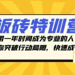 (8048期)板砖特训营,用一年时间成为专业的人,带你突破行动局限,快速成长