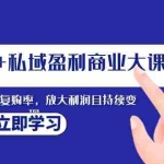 (8045期)全域公+私域盈利商业大课,有效提升私域复购率,放大利润且持续变现