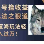 (8042期)视频号撸收益新玩法之狼道,目前蓝海玩法轻松月入过万!