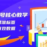 (8021期)直播起号核心教学,打一类精准标签,做一级有效数据(14节课)