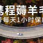 (7995期)最新携程薅羊毛项目,单账号每天1小时保底收益40+,可矩阵操作