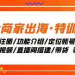(7974期)Tk商家出海·特训营:ID注册/功能介绍/定位账号/爆款视频/直播间搭建/带货.