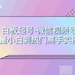 (7955期)白板起号-微信视频号流量小白到热门高手实操课