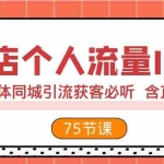 (7934期)实体店个人流量IP打造 2023实体同城引流获客必听 含直播玩法(75节完整版)