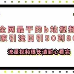 (7858期)全网最干的b站视频独家引流日引50到80+流量视频很长请耐心看完