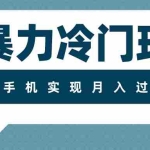 (7856期)超暴力冷门玩法,可长期操作,一部手机实现月入过万