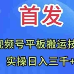 (7843期)全网首发:视频号平板搬运技术,实操日入三千+