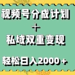 (7842期)视频号分成计划+私域双重变现,轻松日入1000+,无任何门槛,小白轻松上手