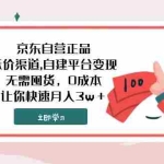 (7824期)京东自营正品,低价渠道,自建平台变现,无需囤货,0成本,让你快速月入3w+