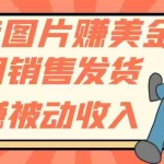 (7812期)上传图片赚美金,不用销售发货躺赚被动收入