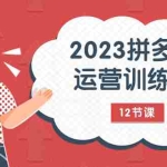 (7805期)2023拼多多运营训练营:流量底层逻辑,免费+付费流量玩法(12节课)