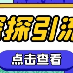 (7795期)探探色粉引流必备神器多功能高效引流,解放双手全自动引流【引流脚本+使…