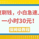 (7751期)反复刷钱,小白急速上手,一个小时30元,实操教程。