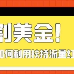 (7733期)收割美金!简单制作shorts短视频,利用平台转型流量红利推广佣金任务