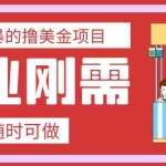 (7710期)最简单粗暴的撸美金项目 会打字就能轻松赚美金