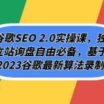 (7708期)谷歌SEO 2.0实操课,独立站询盘自由必备,基于2023谷歌最新算法录制(94节