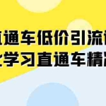 (7698期)直通车-低价引流课,系统化学习直通车精准投放(14节课)
