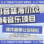 (7693期)宝藏细分领域,抖音蓝海小众纯音乐项目,操作简单让你轻松月入2w+