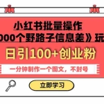 (7676期)小红书批量操作《1000个野路子信息差》玩法 日引100+创业粉 一分钟一个图文