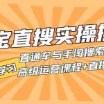 (7618期)淘宝直搜实操操作 直通车与手淘搜索完美结合(高级运营课程+直搜精华实战)