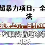 (7569期)超暴利项目,全新玩法(辞职卖情趣的第几天),七天变现上万,日引500+粉